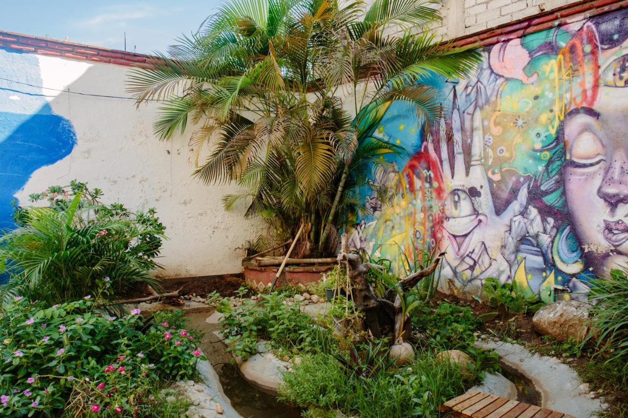 نزل بويرتو إسكونديدوفي Residencia Artistica المظهر الخارجي الصورة