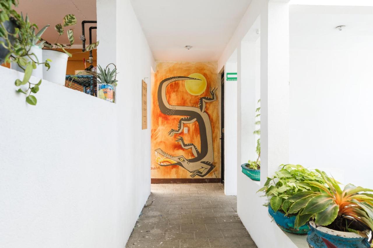نزل بويرتو إسكونديدوفي Residencia Artistica المظهر الخارجي الصورة